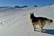 53 Attraversando il bel pianoro pascolivo del Cabretondo ammantato di neve